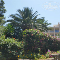 фото из отзыва ID 1045241