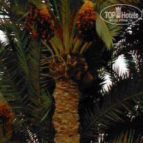 фото из отзыва ID 1045242