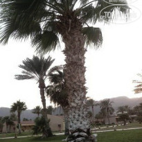 фото из отзыва ID 1045242