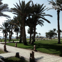 фото из отзыва ID 1045242