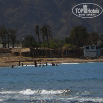 фото из отзыва ID 1045242