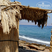 фото из отзыва ID 1045242