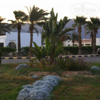 фото из отзыва ID 1045242