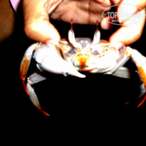 фото из отзыва ID 1045242