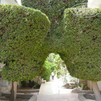 фото из отзыва ID 1045285