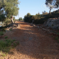 фото из отзыва ID 1042488