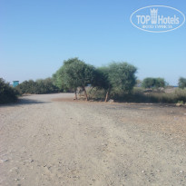 фото из отзыва ID 1042488