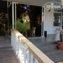 фото из отзыва ID 1045357