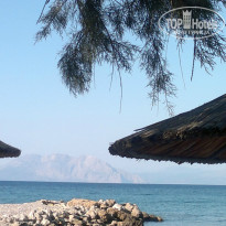 фото из отзыва ID 1045387