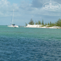 фото из отзыва ID 1045617