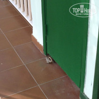 фото из отзыва ID 1045617