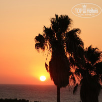 фото из отзыва ID 1045709