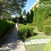 фото из отзыва ID 1045942