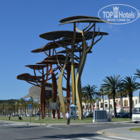 фото из отзыва ID 1046113