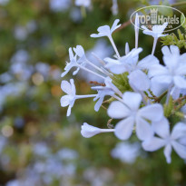 фото из отзыва ID 1046127