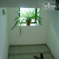 фото из отзыва ID 1044590