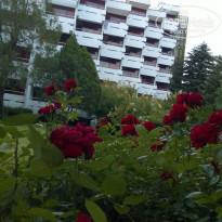 фото из отзыва ID 1046216