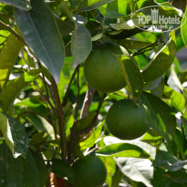 фото из отзыва ID 1046127