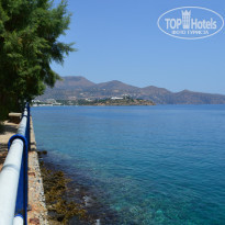 фото из отзыва ID 1046127