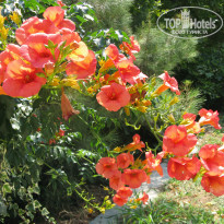 фото из отзыва ID 1045793