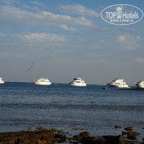 фото из отзыва ID 1044424