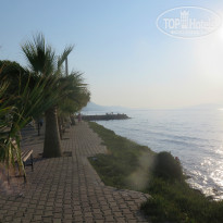 фото из отзыва ID 1046499