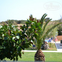 фото из отзыва ID 1047224