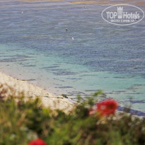 фото из отзыва ID 1047562