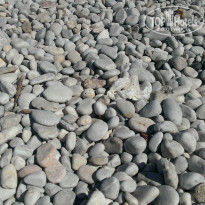 фото из отзыва ID 1047612