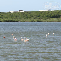 фото из отзыва ID 1047657