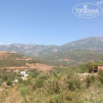 фото из отзыва ID 1047672