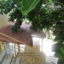 фото из отзыва ID 1047680