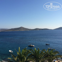 фото из отзыва ID 1048752