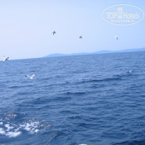 фото из отзыва ID 1049070