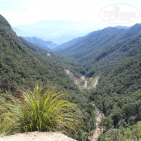 фото из отзыва ID 1049485