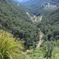 фото из отзыва ID 1049485