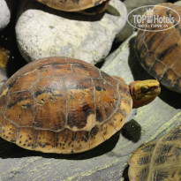 фото из отзыва ID 1049485