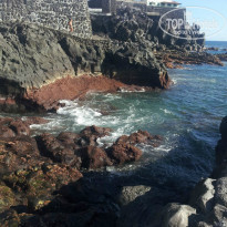 фото из отзыва ID 1049521