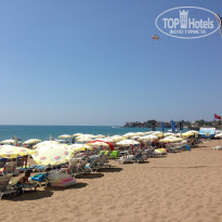 фото из отзыва ID 1049554