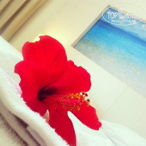 фото из отзыва ID 1049649