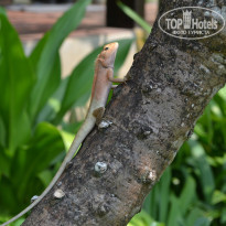 фото из отзыва ID 1046431