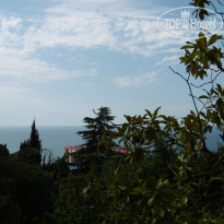 фото из отзыва ID 1049848