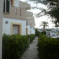 фото из отзыва ID 1049952