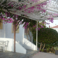 фото из отзыва ID 1049952