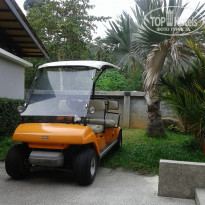 фото из отзыва ID 1049978