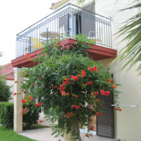 фото из отзыва ID 1049995