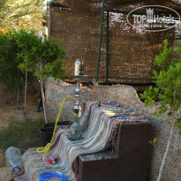 фото из отзыва ID 1045108