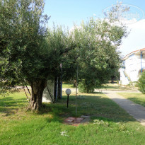 фото из отзыва ID 1041345