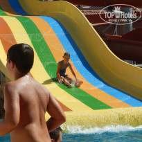 фото из отзыва ID 1045783