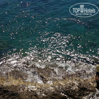 фото из отзыва ID 1041104